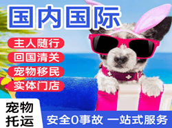 遵义新舟国际宠物托运 【国